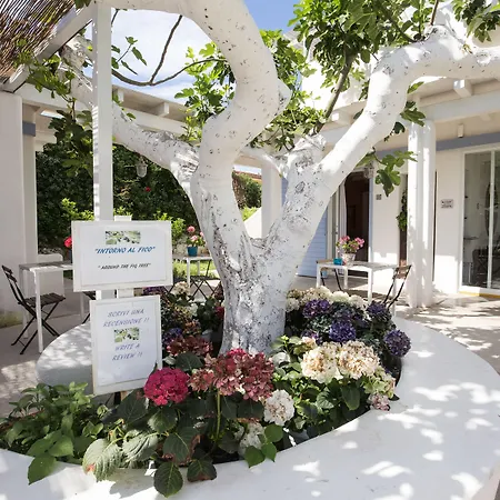 Hotel Intorno Al Fico-3